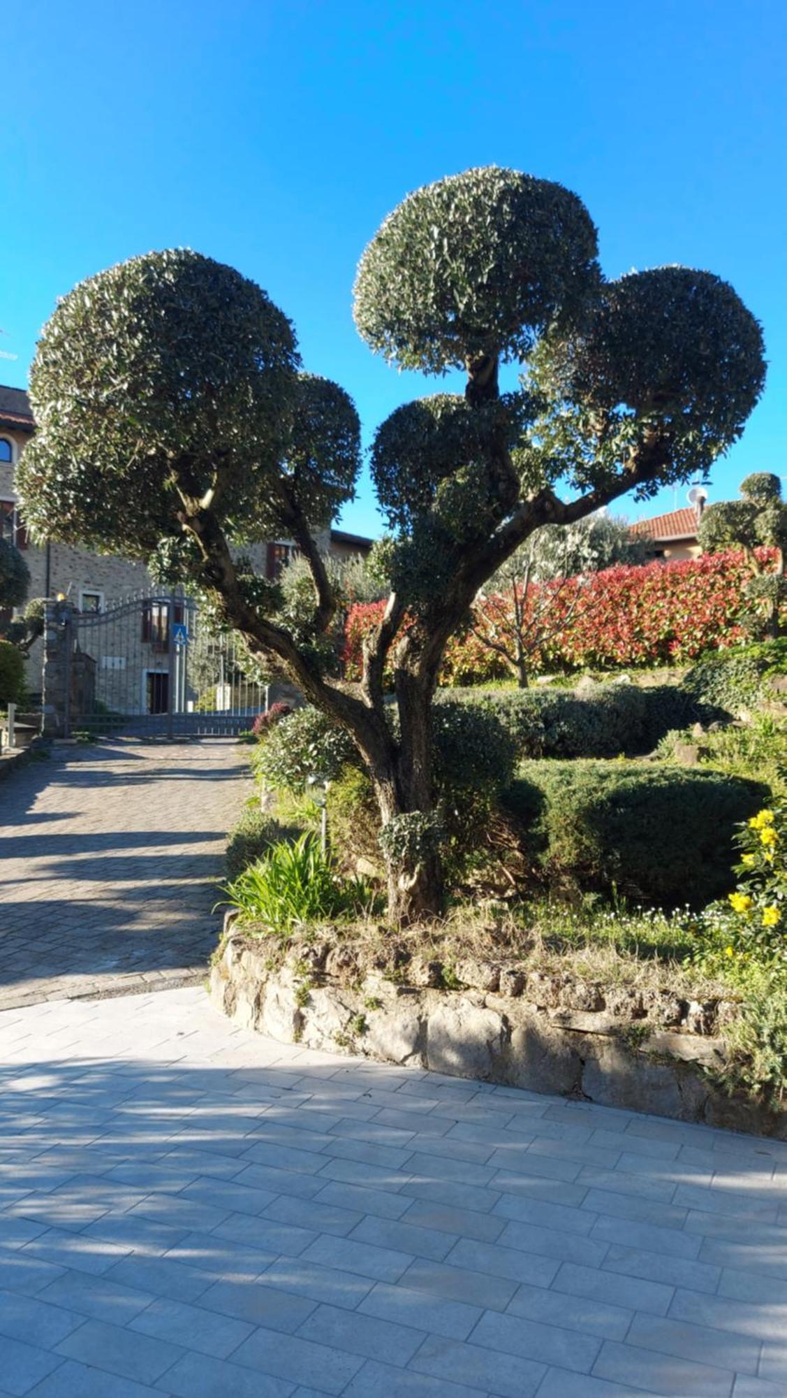 Al Vecchio Lavatoio Hotel Colle Brianza Luaran gambar